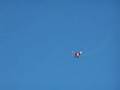 Flying FOCKER