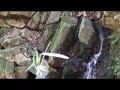 初谷川の清流。　　Premiere Elements3.00カメラ　HDR-HC1　　音楽　音・辞典