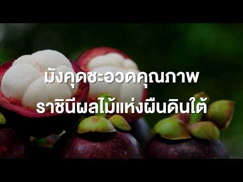 มังคุดชะอวดคุณภาพ ราชินีผลไม้แห่งผืนดินใต้