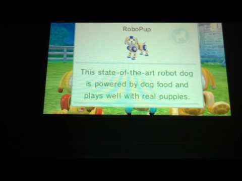 how to get more owner points on nintendogs 3ds