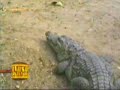Video Cassetada 21/01/06