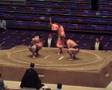 Fattest SUMO ... ever