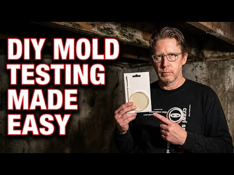 video-linktoworks-Mold Testing | How To Test For Mold In Your Home | DIY...