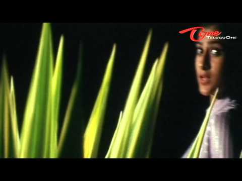 Cash, Cash Movie, Cash Telugu Movie, Cash Song, Cash Movie Song, Cash Telugu Movie Song, Cash Movie hd, Cash Movie Song hd, Cash Song hd, Jenny, Teja, Teluguone, Teluguone Movies, Teluguone Trailers, Teluguone Videos