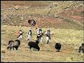 gregorio mamani   tinku  al al fin bolivia en  quechua