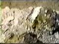 Guarda video