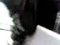 videos de 0mar in sec0nd peri0d.