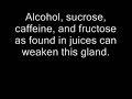 Manic Depression/Bipolar Manic Depression/Bipolar