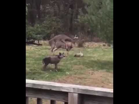 „Straciła dla niego głowę” miłość bywa brutalna