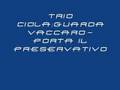 Trio Ciola: Guardavaccaro-porta il preservativo