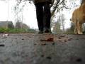 videos de DCO 30 - Buddy Bonus # Four