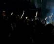 The-Hives