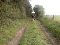 newton saut