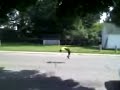 patricks backflip