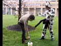 Video Laurea Dave n.2 - Nutrizione