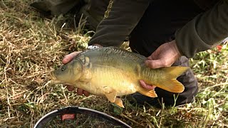 Rybářské závody 2022