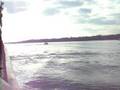 videos de Bayliner 2252