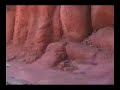 Splash Mountain - Front Seat! - Complete Ride - Disneyland