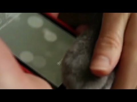 Can a pet use new iPhone 5S fingerprinting security?