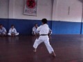 GENSEIRYU,KARATE-DO,NANBEIKAI