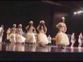 Danzas Chilenas XI