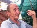 stipe ribica konjak