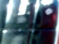videos de beira dagua