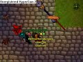 tibia pk