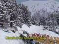 Masella team
