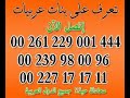 ضاجعها واجعلها تشعر بطعم الأير العربي
