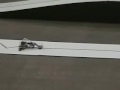 Line Obstacle, Robothon:   I O N