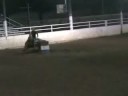 3yr old Mr Can Chaser and rider Nicole Torturo of 3Drum making a nice barrel run. He was .5 tenths off the 1D winner. He's getting there. We are getting ready for some of the early barrel futurities. To see more go to www.3Drum.com
