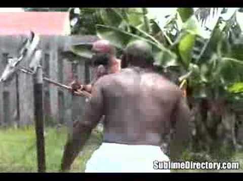 bum fight