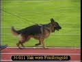 SV BSZS 2003 Ulm NKGR Offspring groups part 2