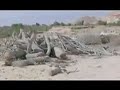 Somalia\ Somalia\