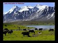 YouTube kashif anjum astori Butterfly Northern area pakistan