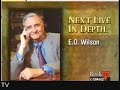 E.O. Wilson on Tribalism on CSPAN2 BookTV