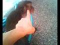 Monkey lookin upi my shorts