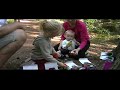 Hemojunior Běleč 2009 2.avi