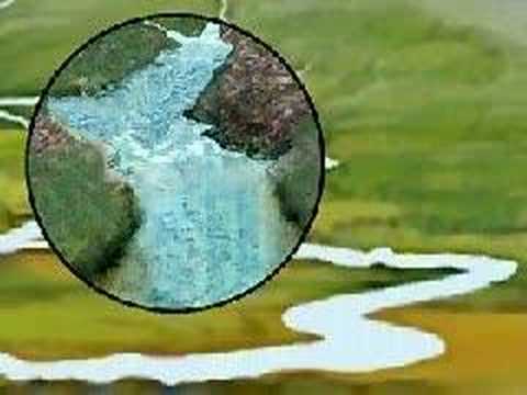 Imagen de previsualización de YouTube