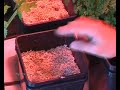 Hydrocentre Gravity Fed Hydroponic Network System Hydrocentre Gravity Fed Hydroponic Network System