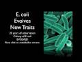 videos de Evolution is Real - 90 second proof!