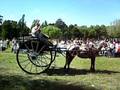 videos de Jardinera