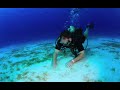 Cozumel Diving