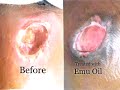 Emu Industry Promotional Video - Oil