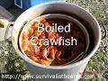 Crawfish boil