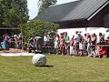 M�lleberga LawnMower Grand Prix 2008