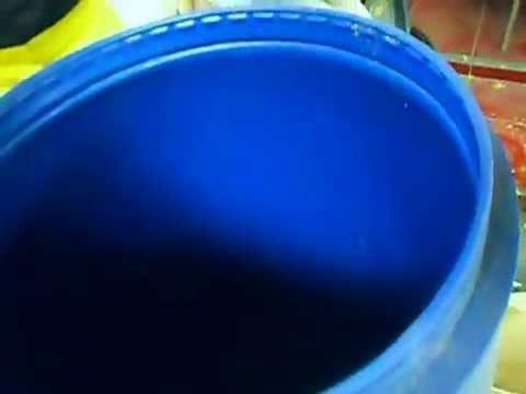 how to isolate wolbachia