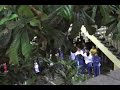 Lev�ntate en la Preparatoria La Salle, M�xico