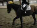Nanna F. Madsen/Athene - LB3 Nanna F. Madsen/Athene - LB3